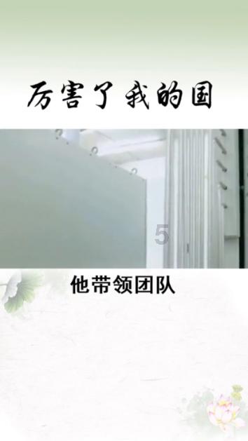 逃离野猫森林